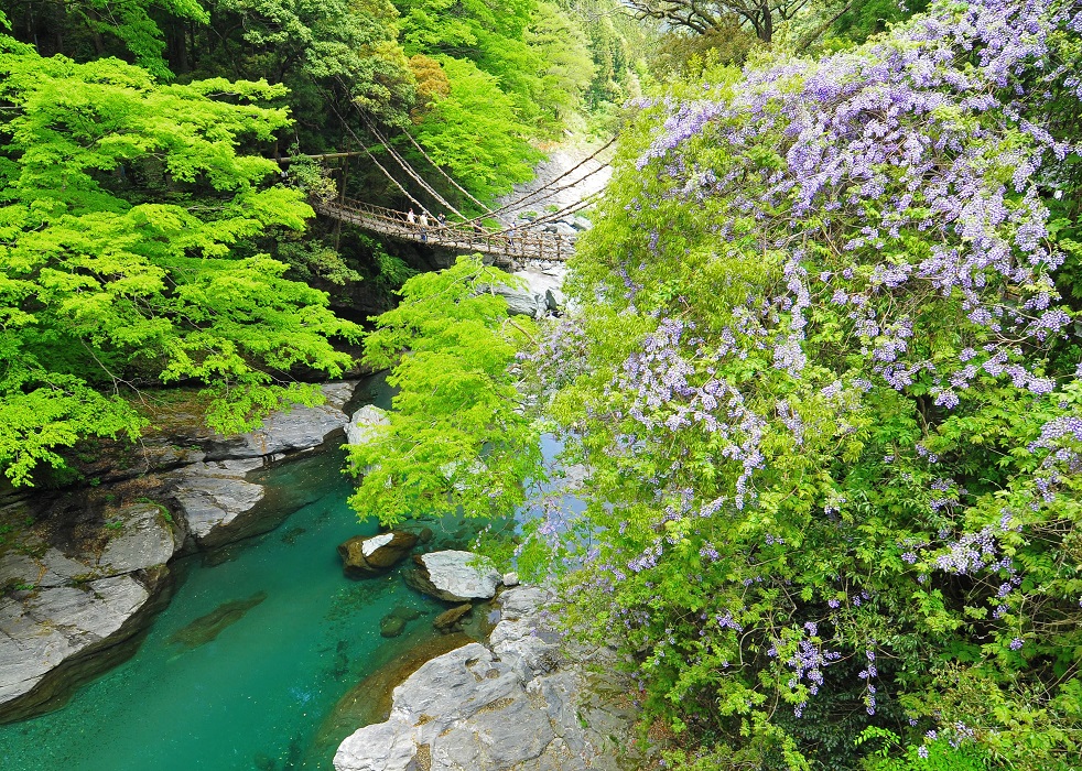 362085R