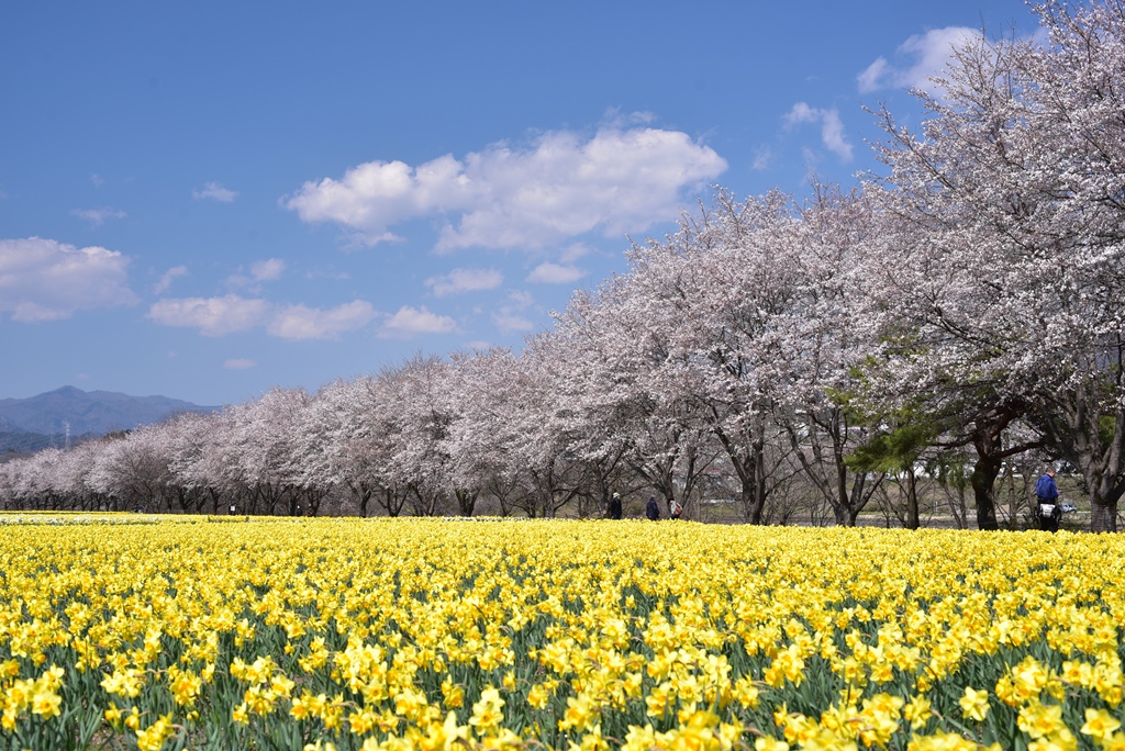 東吾妻町