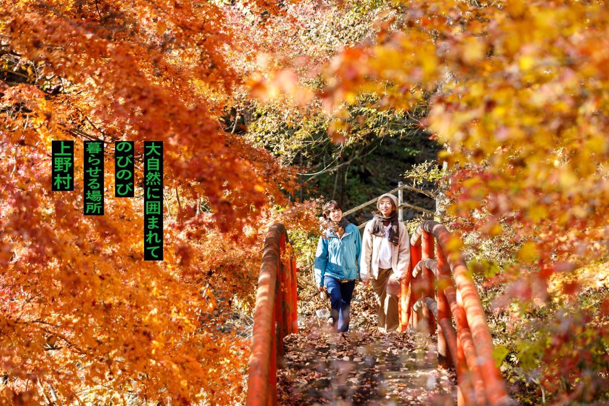 上野村
