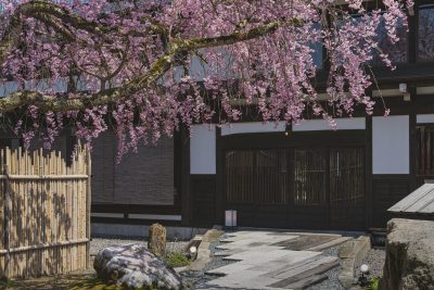 企業紹介