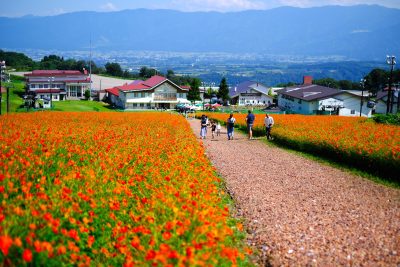 市町村紹介