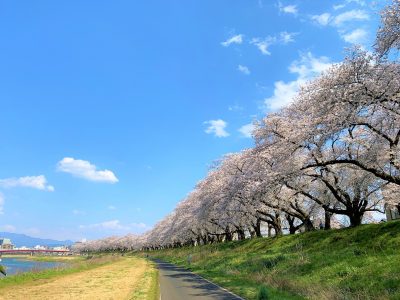 市町村紹介