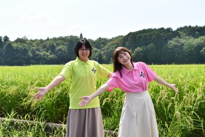 忍者市（伊賀市）