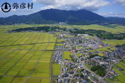 弥彦村