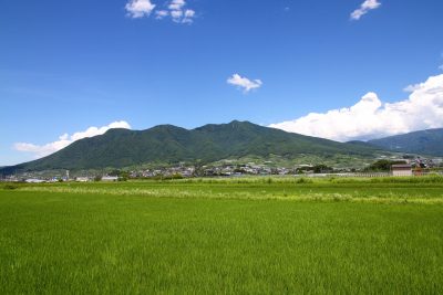 出展市町村一覧