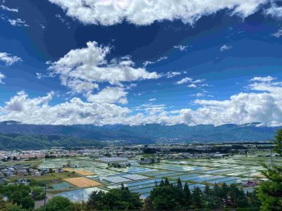 出展市町村一覧