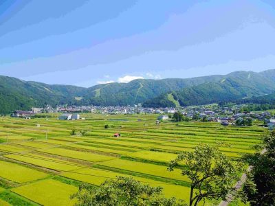 出展市町村一覧