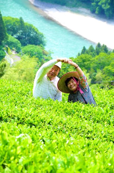 出展市町村一覧