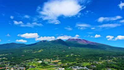 🍎出展市町村一覧🍎