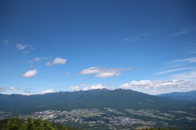 🍎出展市町村一覧🍎
