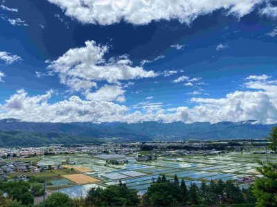 🍎出展市町村一覧🍎