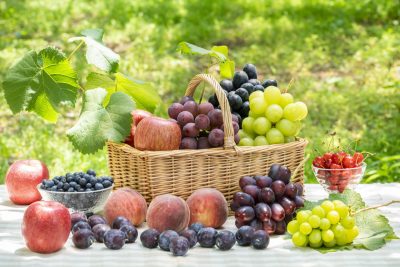 🍎出展市町村一覧🍎