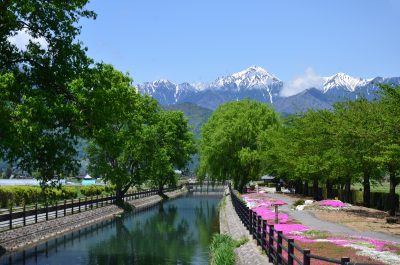 🍎出展市町村一覧🍎