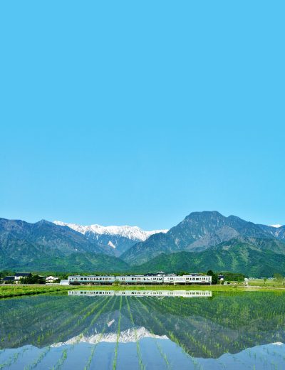 🍎出展市町村一覧🍎