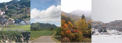 🍎出展市町村一覧🍎