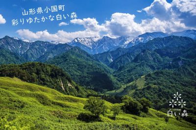 小国町
