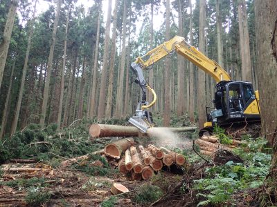 山形県林業労働力確保支援センター | 支援団体